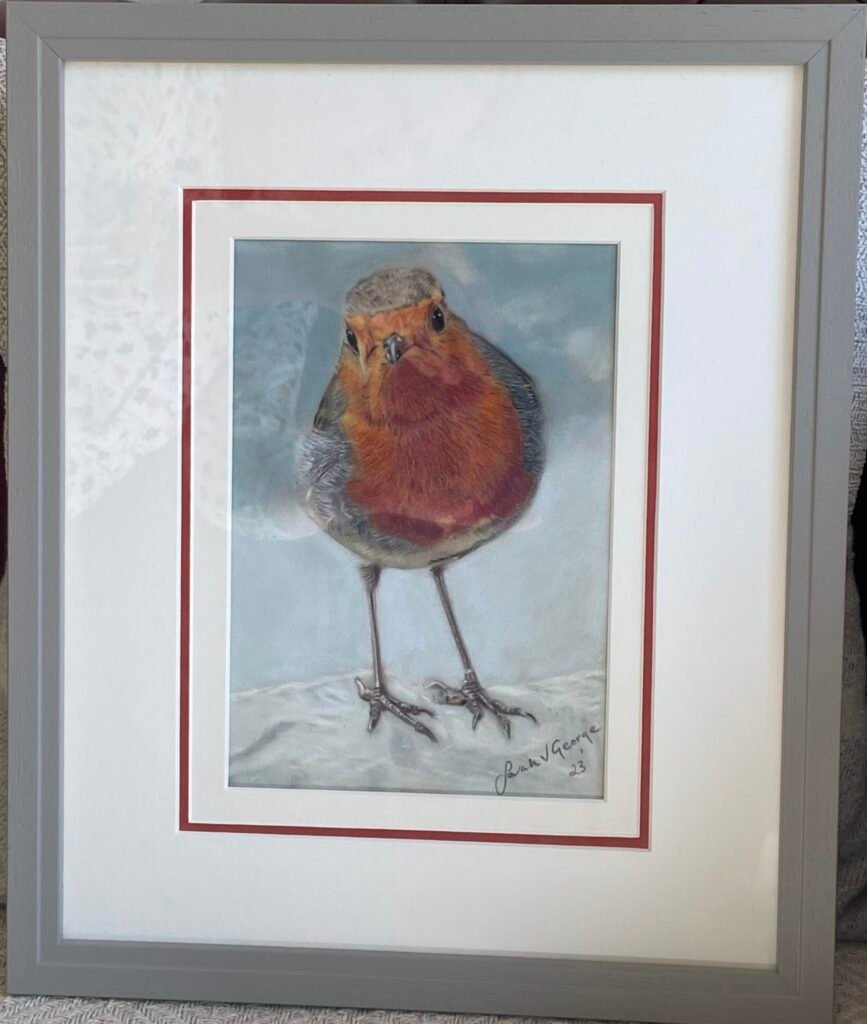 Framed Robin drawing