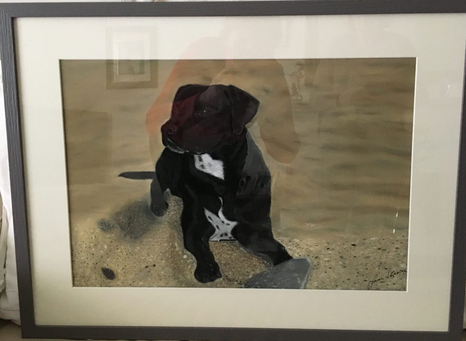 Framed Staffordshire bull terrier dog portrait.