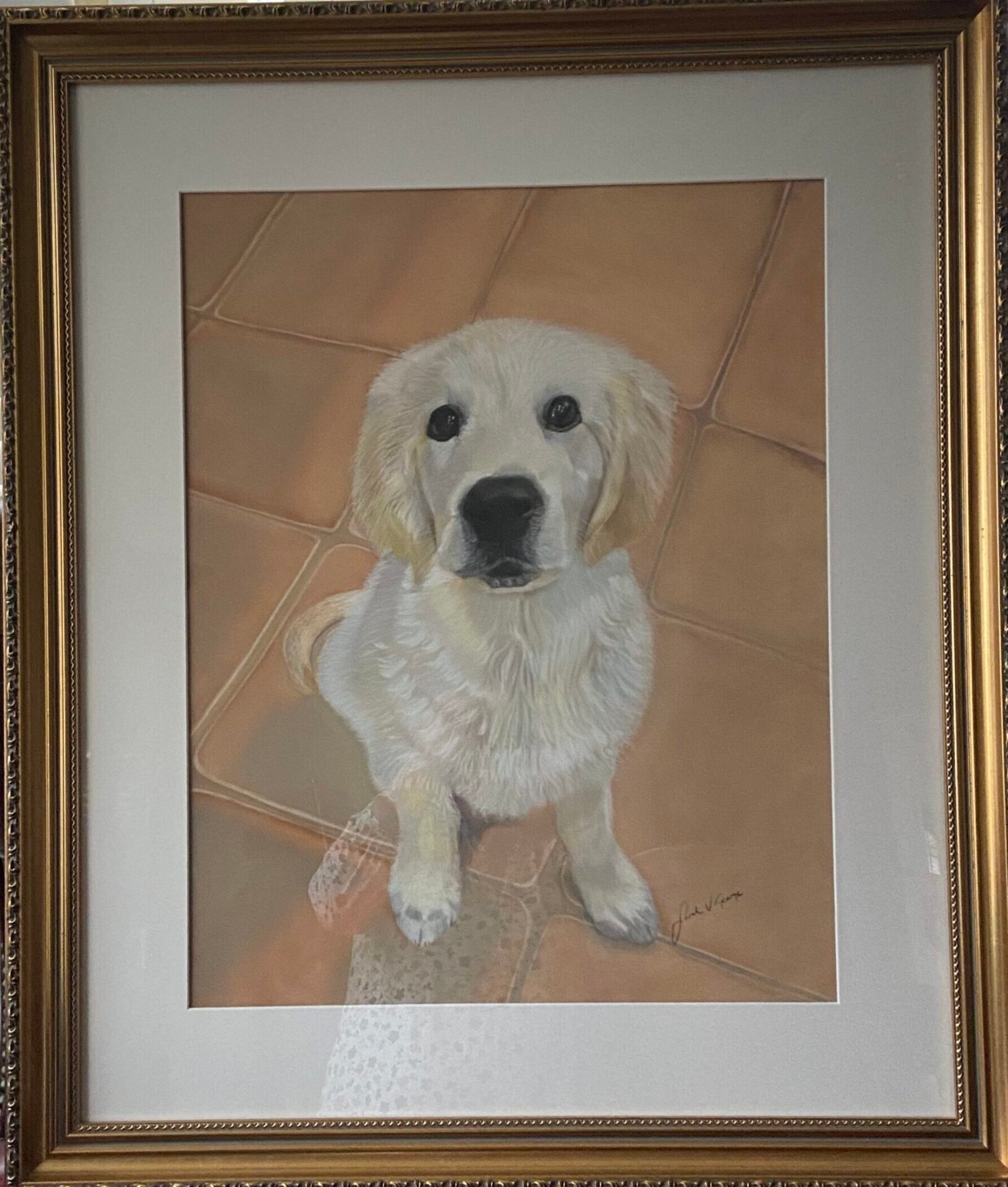 Golden retriever puppy portrait