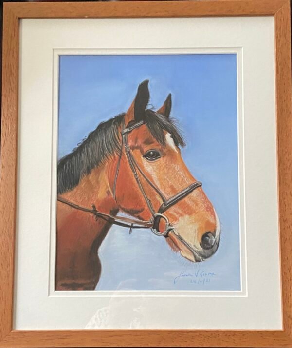 Horse portrait