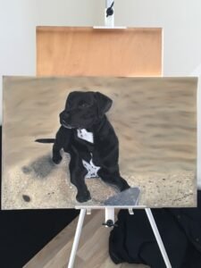 Staffordshire bull terrier cross portrait