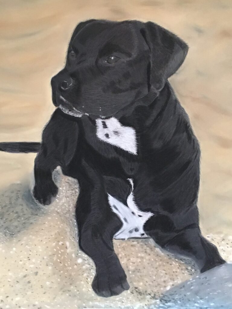 Staffordshire bull terrier dog portrait