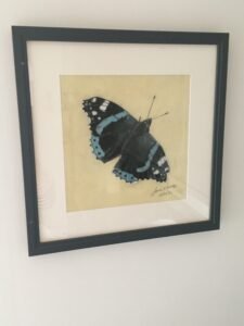 Wildlife art South Wales
