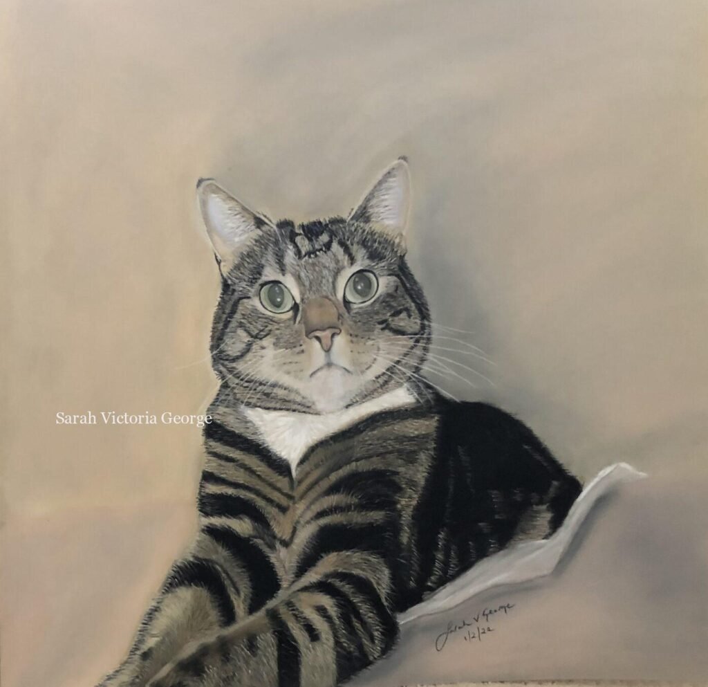 Tabby cat art