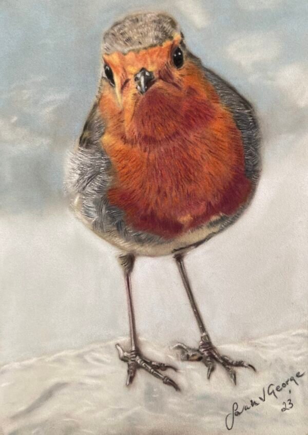 Robin art