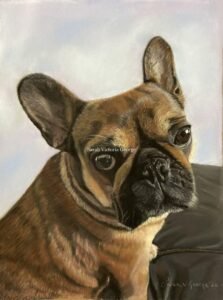 French Bull Dog Portrait in Soft Pastel