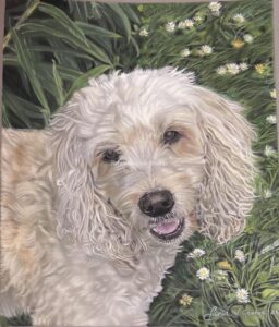 White cockapoo soft pastel dog portrait with grass and daisies